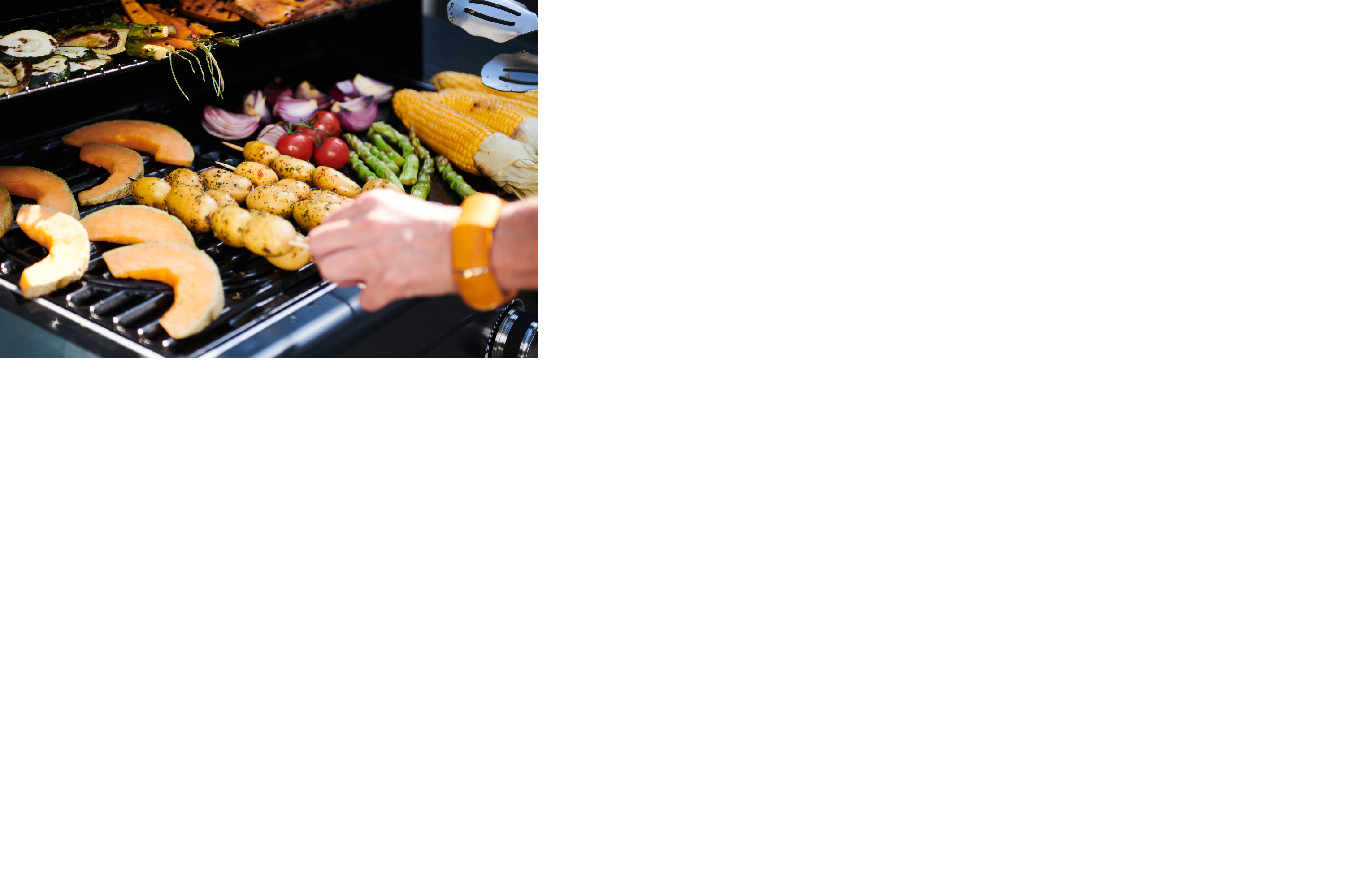 Campingaz Select 3 EXS plynový gril